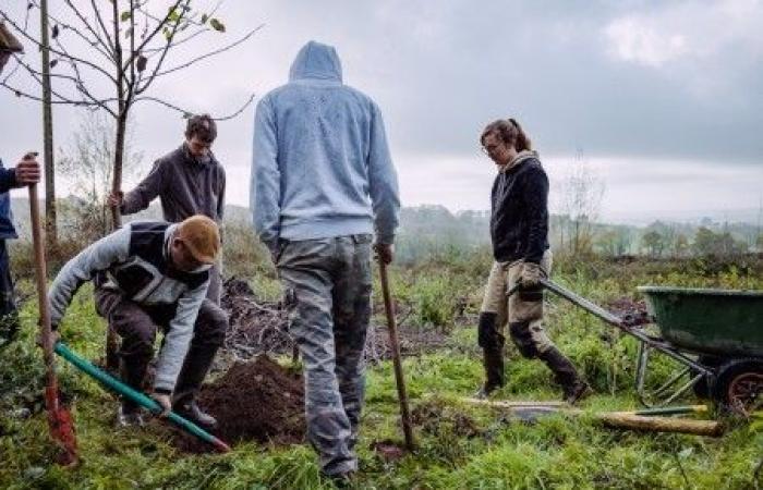 la riforma della RSA indebolisce gli agricoltori