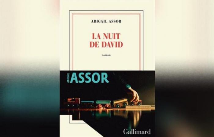 David's Night, di Abigail Assor: un gemello che esce dai binari