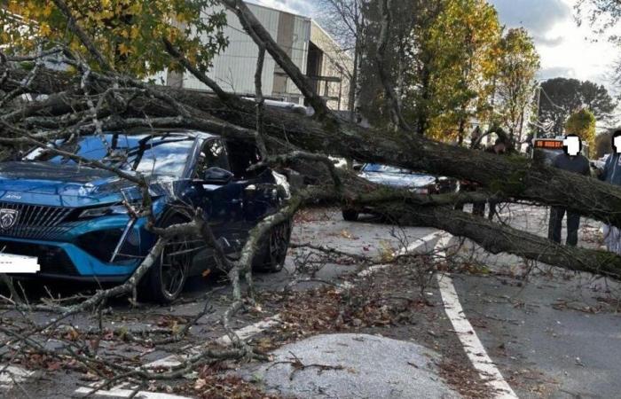 Nella Loira Atlantica, la tempesta Caétano provoca dieci feriti e provoca il caos nei trasporti