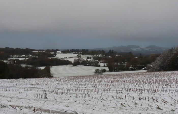 NELLE IMMAGINI. Nella Côtes-d'Armor diversi centimetri di neve hanno coperto le campagne