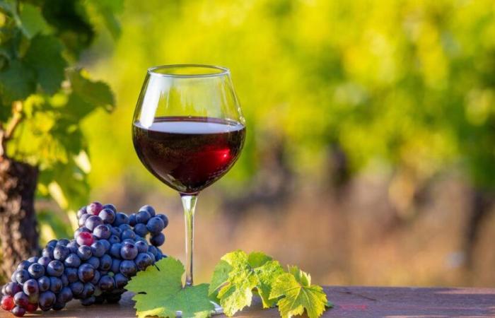 “Beaujolais nouveau”: da dove viene questa espressione?