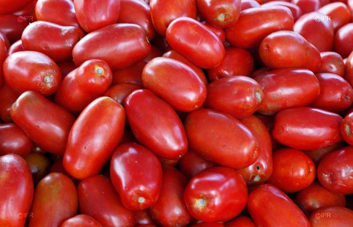 venditori di pomodori sotto sorveglianza rafforzata da parte della prefettura di Mayotte