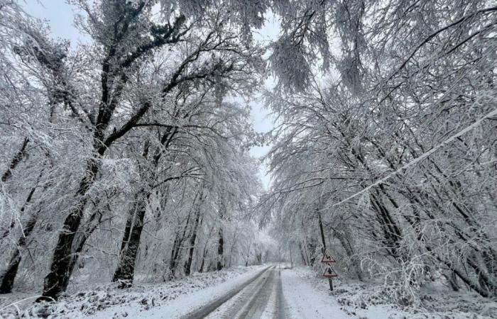 una rarissima giornata di neve a novembre