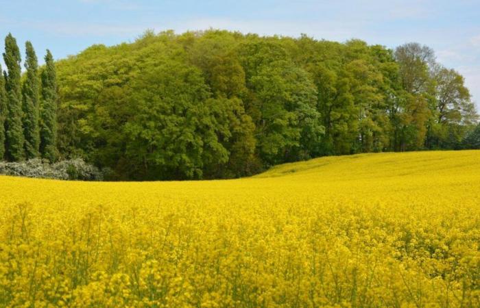 Il più grande aumento dei prezzi dei prodotti alimentari globali in più di un anno