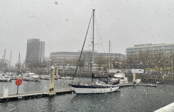 Bollettino meteorologico. Allerta arancione nella Senna Marittima: finalmente arriva la neve a Le Havre