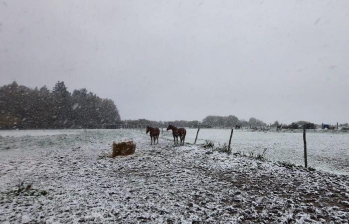 NEVE – Strade chiuse, limitazioni alla circolazione, trasporti: aggiornamento in tempo reale nell'Eure e nella Seine-Maritime