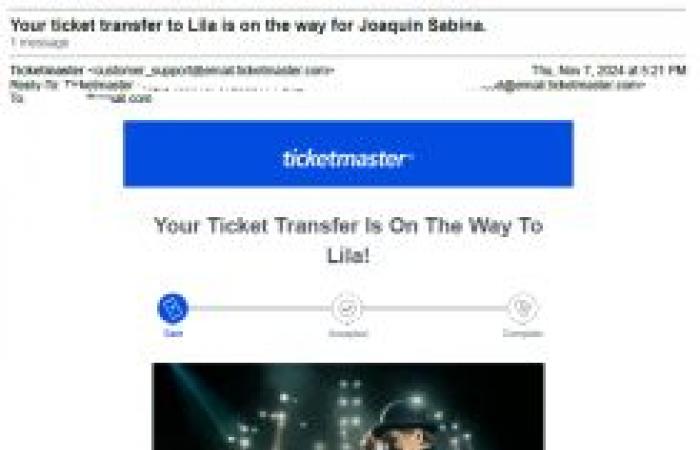 Perché Ticketmaster non offre la 2FA sui trasferimenti dei biglietti?