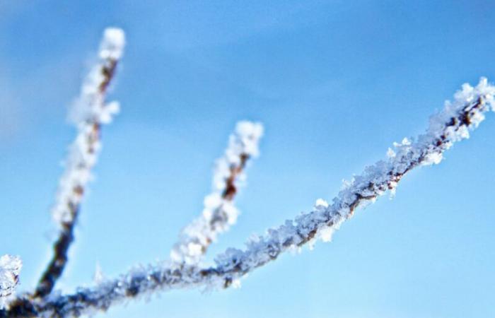 Avvertenze in vigore per il perdurare del freddo