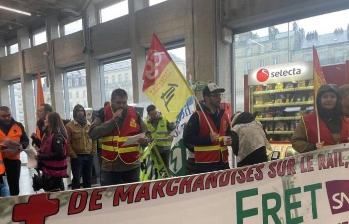 Alla Fret SNCF, i ferrovieri sono rari a Nantes