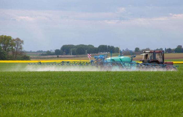 cedendo alle pressioni degli agricoltori, la prefettura prolunga lo spargimento di fertilizzanti azotati