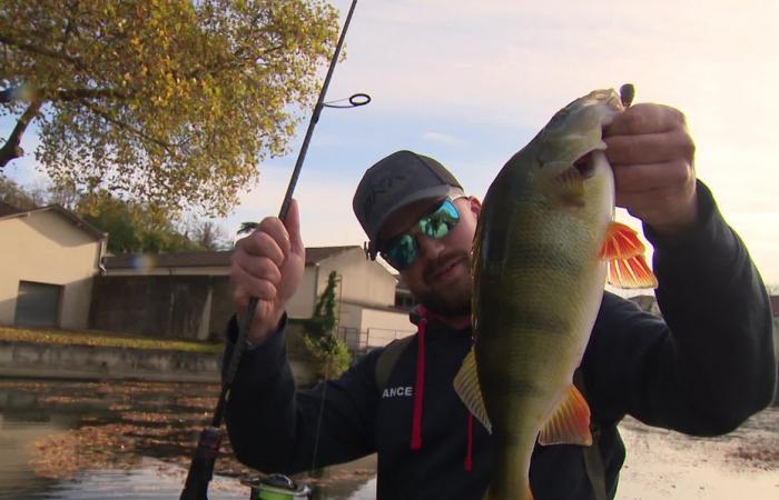 Praticano lo “street fishing” o pesca urbana e sono diventati campioni del mondo a squadre