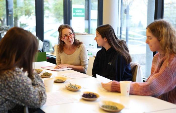 Angoulême: laboratori per aiutare gli studenti a proteggersi dal freddo