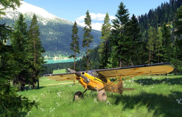 Gli animali di Microsoft Flight Simulator 2024 provengono in realtà da un altro gioco | Xbox