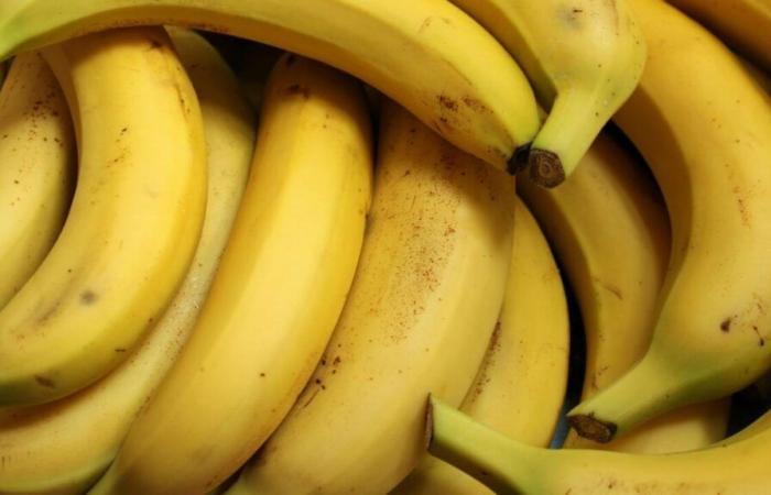 Banana sostenibile a un prezzo giusto: i distributori si assumono le proprie responsabilità