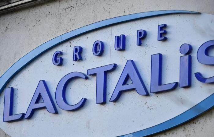 France Nature Environnement lancia “una campagna di sorveglianza e azione legale” contro Lactalis e i suoi scarichi nei fiumi