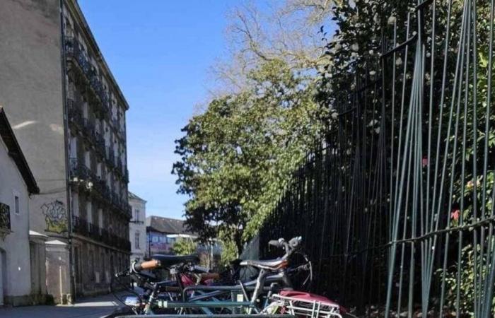 Nantes Métropole riceve il premio Cycling Talents 2024