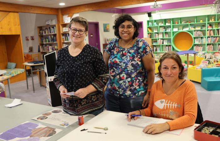 La biblioteca di Châtenoy le Royal ha fatto meglio del “Black Friday” per lo scambio di libri. – info-chalon.com