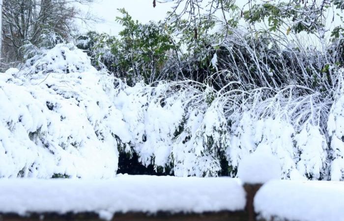 rischio di gelate prima di un periodo mite nel fine settimana