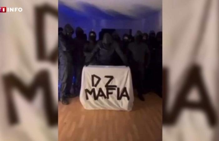 Conquista di territori, racket di commercianti e il rapper SCH… Come la mafia DZ si trasforma ed estende la sua influenza