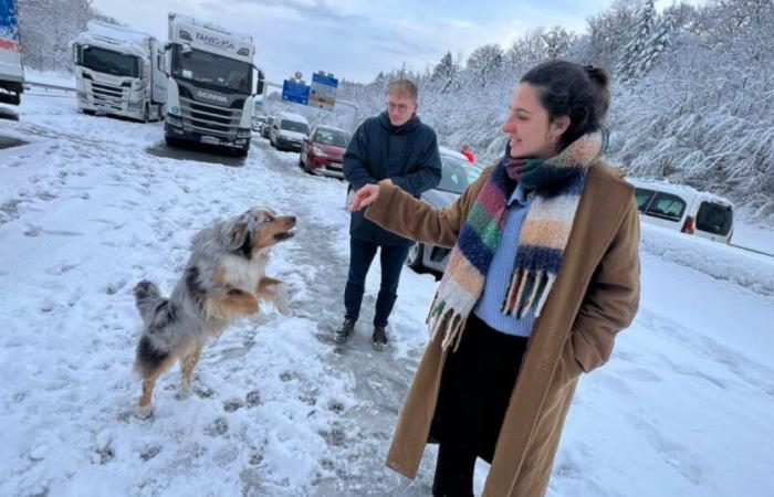 Da 2.000 a 2.500 camion bloccati sulla A36, l'APRR accusa i mezzi pesanti