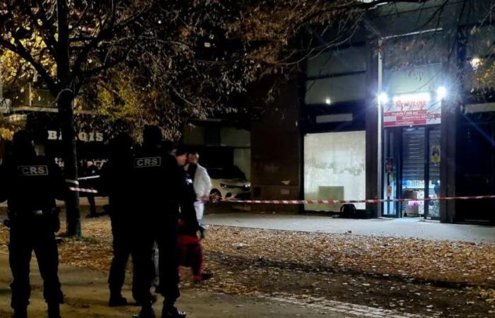 Grenoble. Uomo di 36 anni accoltellato a morte durante una rissa in un negozio