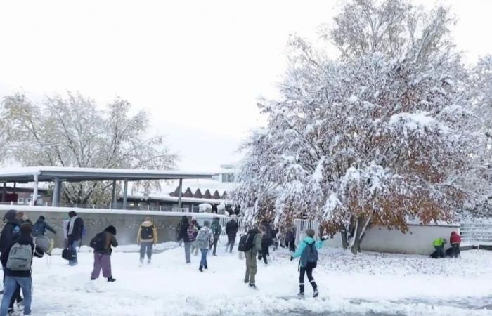 fino a 30 centimetri di neve nell'Alto Reno