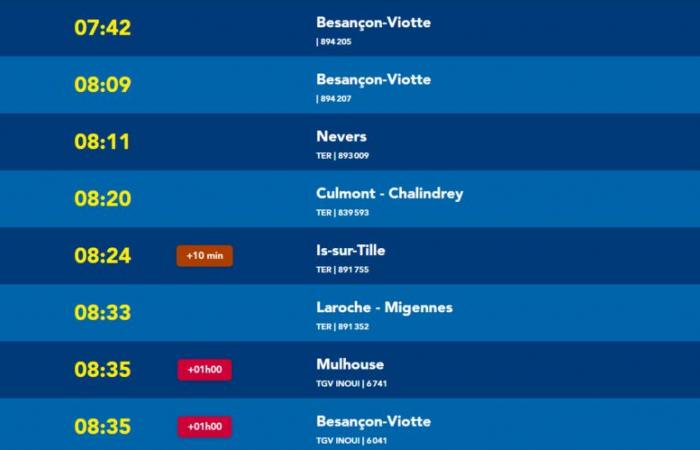 LIVE: neve e ghiaccio, la situazione resta complicata nella metropoli di Digione