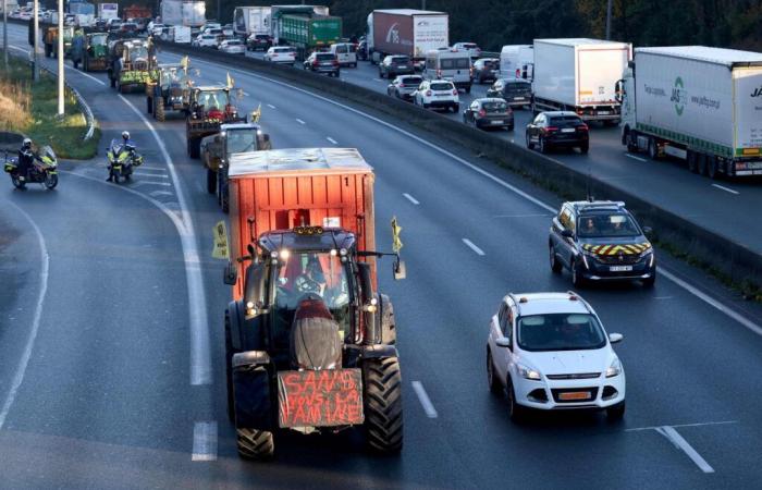 Gli agricoltori hanno sbloccato il porto commerciale di Bordeaux e una centrale d'acquisto a Leclerc nelle Landes