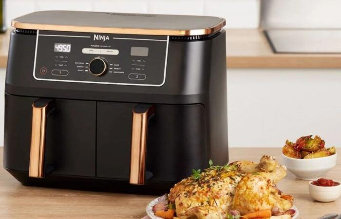 Una valanga di sconti ti aspetta da Ninja, il Black Friday fa oscillare i prezzi su questo Airfryer di fascia alta