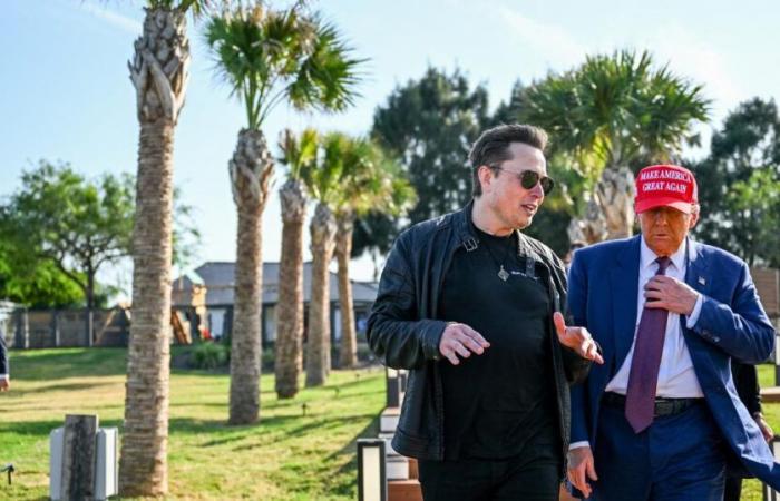 Come Elon Musk utilizzerà l'intelligenza artificiale per “sgrassare il mammut americano”