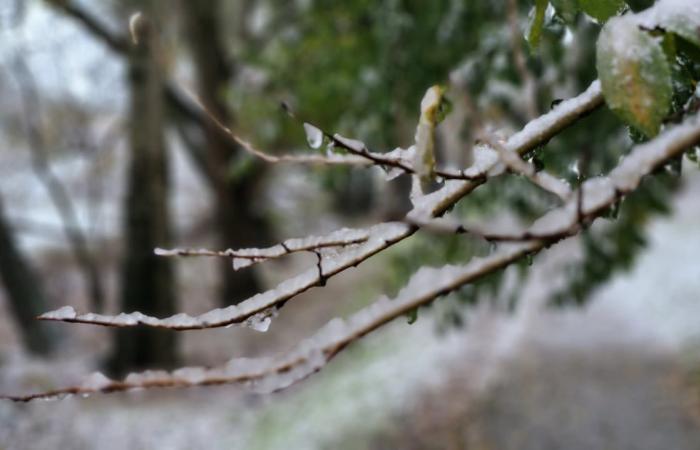 dopo la neve, il ghiaccio?