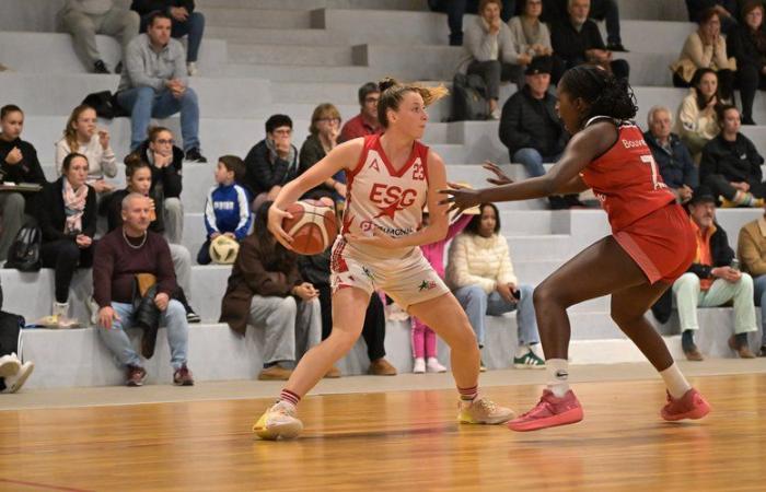 Basket amatoriale – Coppa d'Occitania femminile: allettante doppio confronto tra Auch e Gimont nel capoluogo del Gers