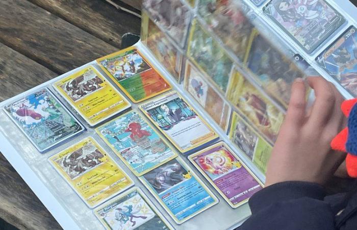 “Per i collezionisti è davvero una pepita d’oro”: mentre ristrutturava casa ha scoperto centinaia di rare carte Pokemon