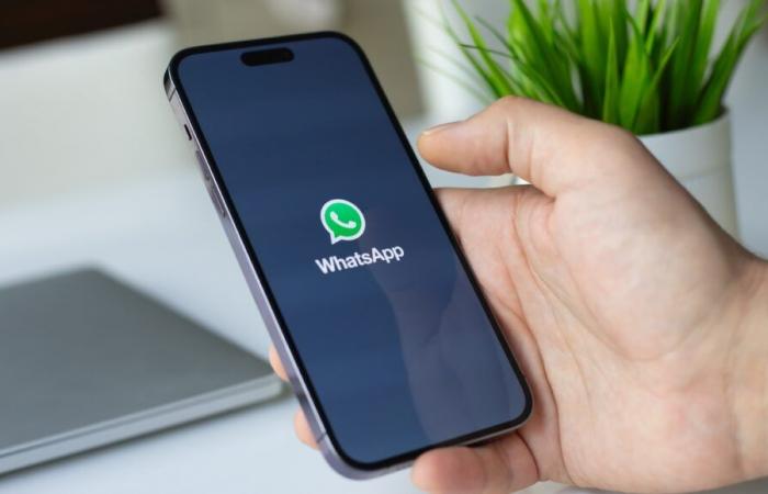 WhatsApp ora può trascrivere i messaggi vocali in testo (ma c'è un problema)