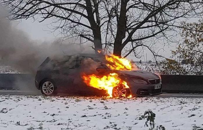 “È una pista di pattinaggio”, viaggi in macchina e incidenti si susseguono