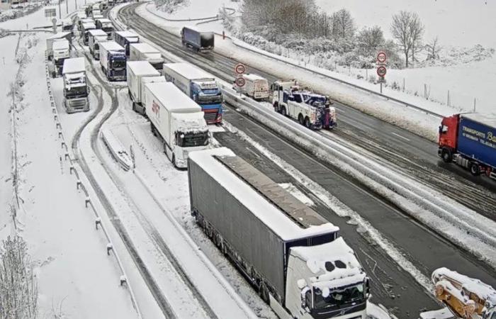 VIDEO. Tempesta Caetano: 150mila case ancora senza elettricità, -10°C di notte, panico sulle strade, immagini dell'episodio nevoso in Francia