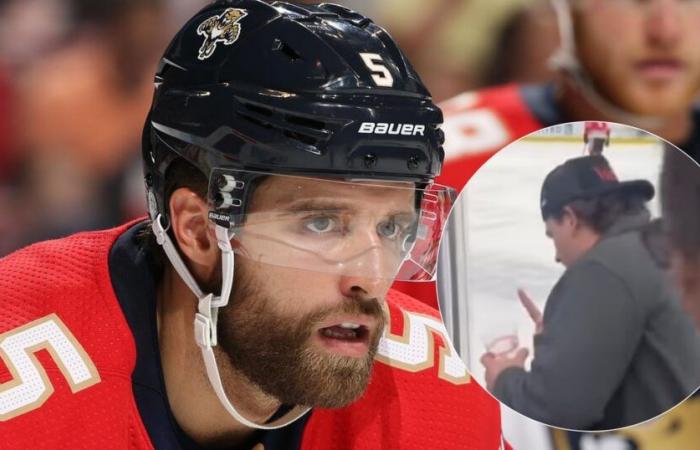 Aaron Ekblad perde la calma e attacca un tifoso che lo ha insultato