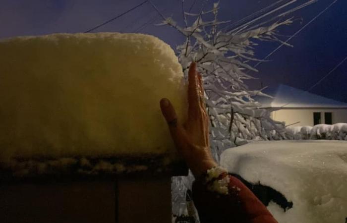 NELLE IMMAGINI. E 10, 15, 20, 25 centimetri di neve! Le tue impressionanti foto invernali in Franca Contea