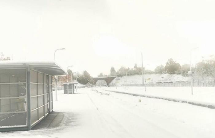 i treni si fermarono e i passeggeri furono evacuati