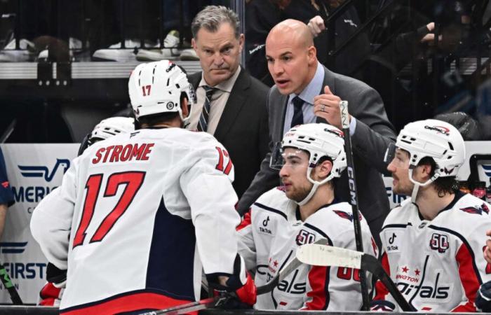 Super 16: Carbery, i Capitals salgono ai quarti di stagione