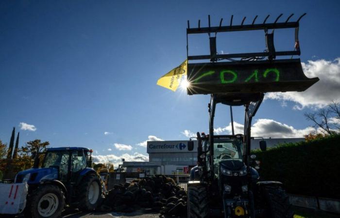 Tolosa, Agen, Bordeaux… Aggiornamento sulle azioni del 5° giorno