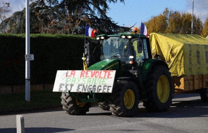 Diretto. La rabbia dei contadini. Il centro acquisti Carrefour di Colomiers sbloccato dalla polizia