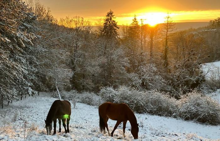 La Borgogna si sveglia sotto un bel tappeto bianco