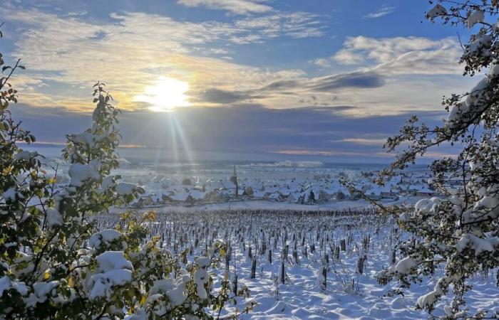 Meteo: forti gelate durante la notte, dove è stato il più freddo?