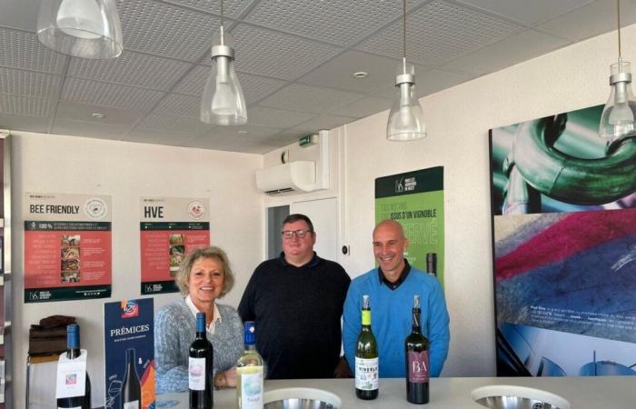 Nel Lot-et-Garonne, i viticoltori di Buzet innovano per far fronte alla crisi del vino