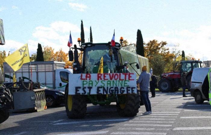 Diretto. La rabbia dei contadini. Il centro acquisti Carrefour di Colomiers sbloccato dalla polizia