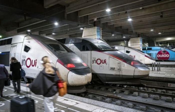 “Non tornare a casa per le vacanze fa davvero schifo”: bloccati dal prezzo dei treni, questi studenti si preparano a trascorrere il Natale da soli