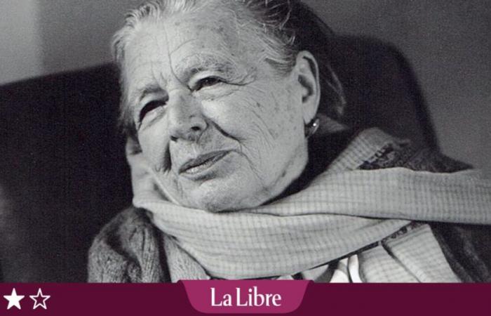 Jerry Wilson: l'ultimo amore di Yourcenar che gli fece perdere la testa a 76 anni, rischiando talvolta la vita