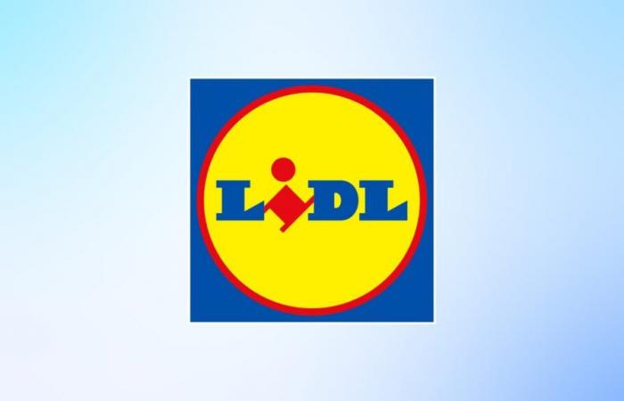 Lidl pensa che sia Babbo Natale? Le decorazioni al momento sono tutte a prezzi bassi