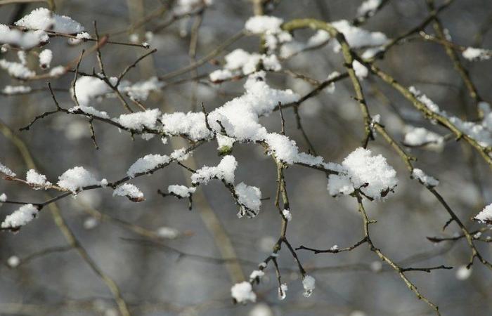 Tempesta Caetano: “Strade scivolose”, potrebbe cadere qualche centimetro di neve in più… 21 dipartimenti ancora in allerta arancione